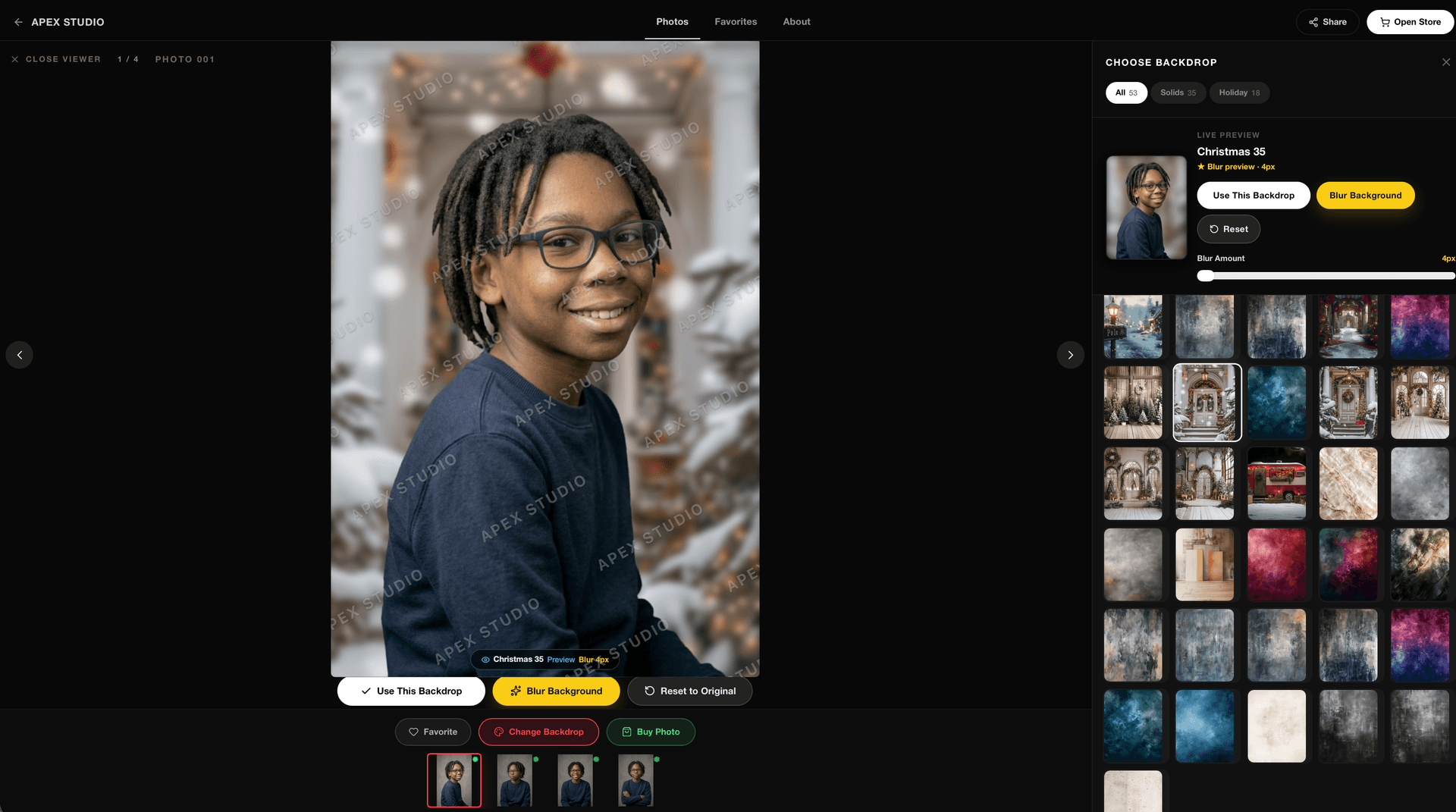 Studio OS client gallery storefront showing a portrait preview with backdrop browsing controls.